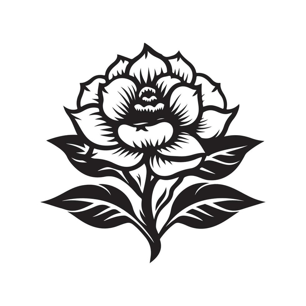 Rose fleur image vecteur