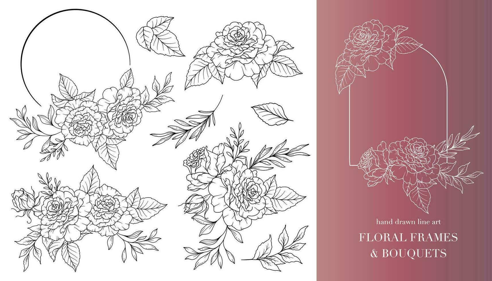 Rose fleur ligne art. floral cadres et bouquets ligne art. bien ligne des roses cadres main tiré illustration. main dessiner contour feuilles et fleurs. botanique coloration page. des roses pivoine isolé vecteur