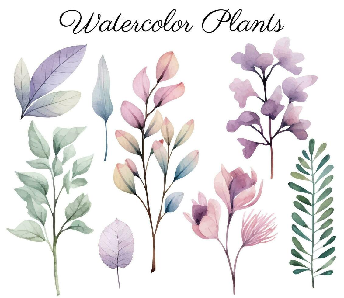 aquarelle botanique ensemble. délicat aquarelle les plantes pour mariage faire-part, affiches. vecteur les plantes pastel couleurs.