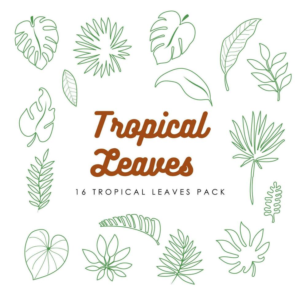 vecteur 16 tropical feuilles pack