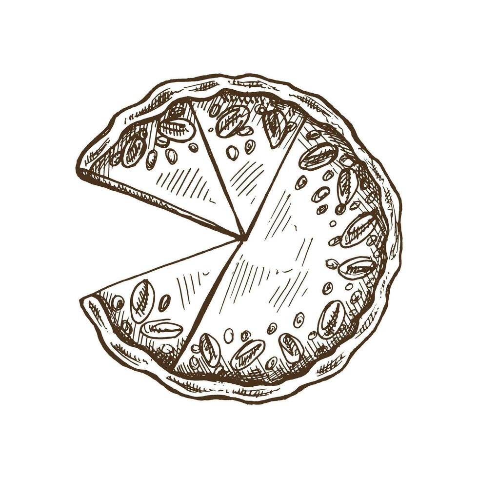 dessiné à la main traditionnel citrouille tarte avec noix de pécan des noisettes esquisser. vecteur illustration de pâtisserie. Haut vue nourriture pour recettes, restaurant ou café menu. traditionnel nourriture pour action de grâces, Noël