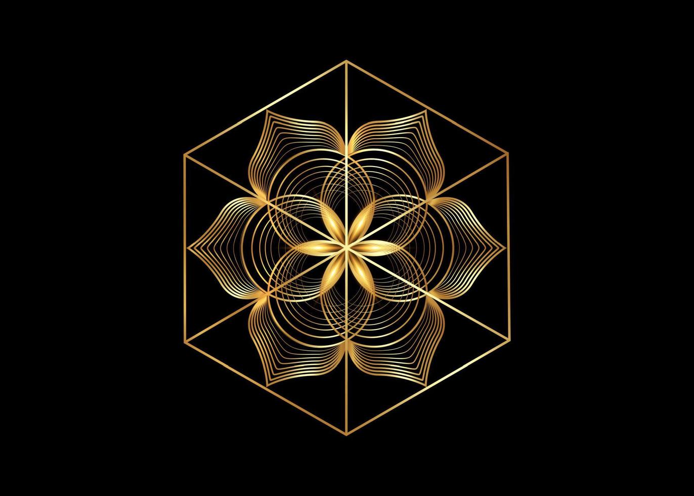 graine de vie symbole géométrie sacrée. or logo icône géométrique mystique mandala vecteur