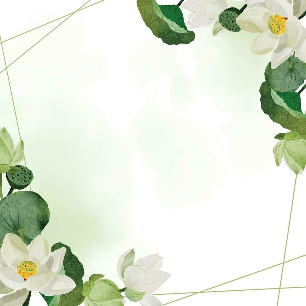 aquarelle blanc lotus éléments collection sur blanc Contexte isolé vecteur
