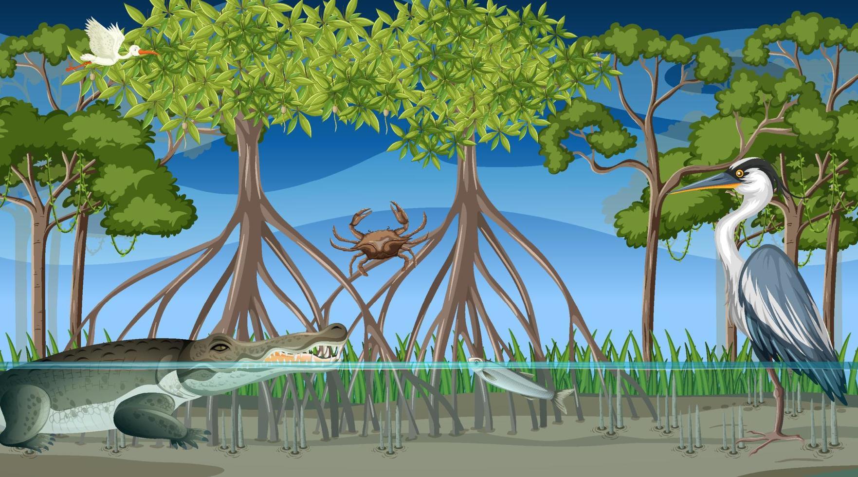 les animaux vivent dans la forêt de mangrove la nuit vecteur