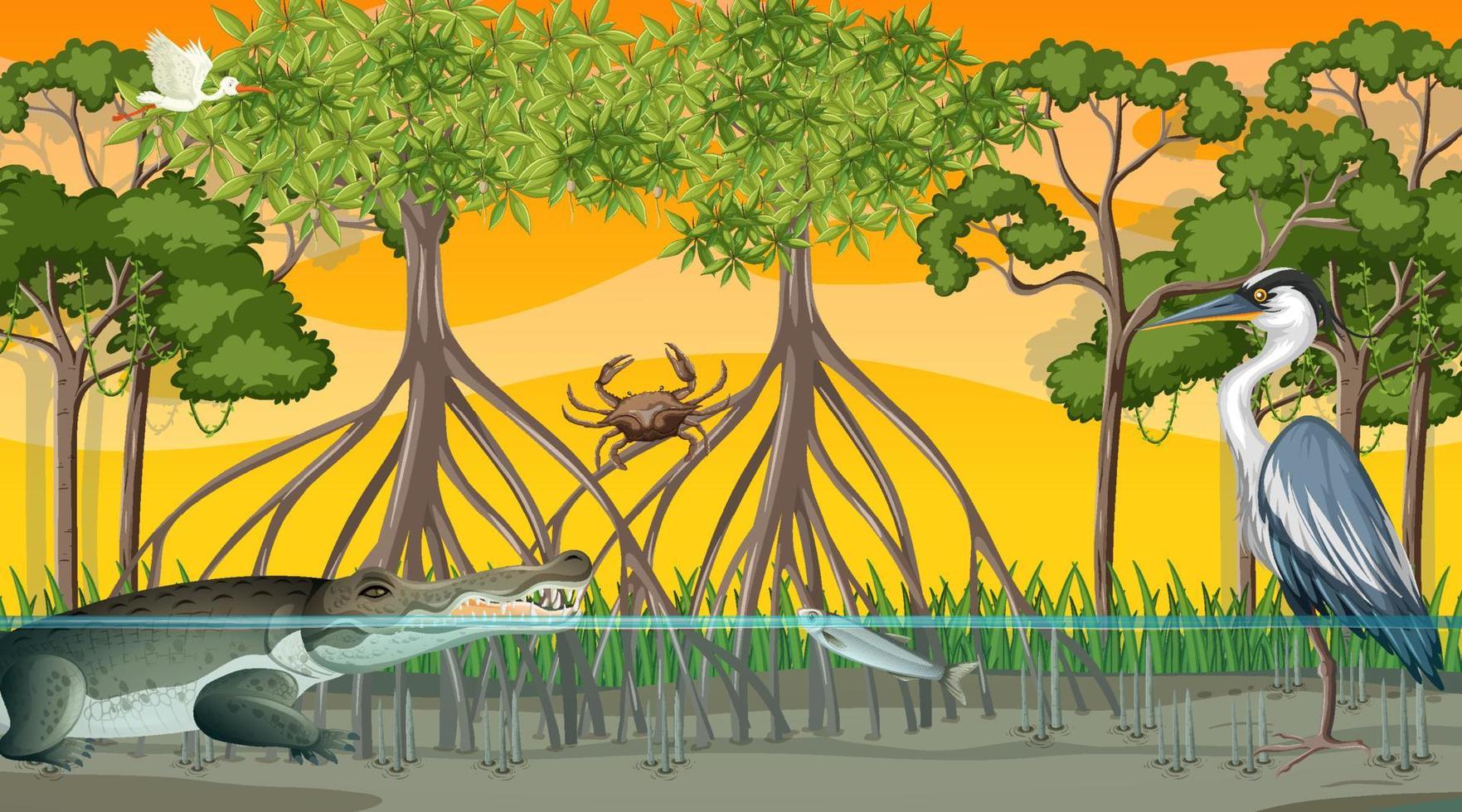 les animaux vivent dans la forêt de mangrove au coucher du soleil vecteur