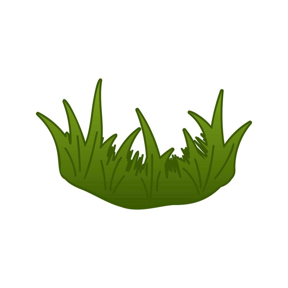 vert herbe vecteur isolé illustration. des buissons de vert herbe, jardin les plantes. plat dessin animé élément pour conception Naturel et BIO.