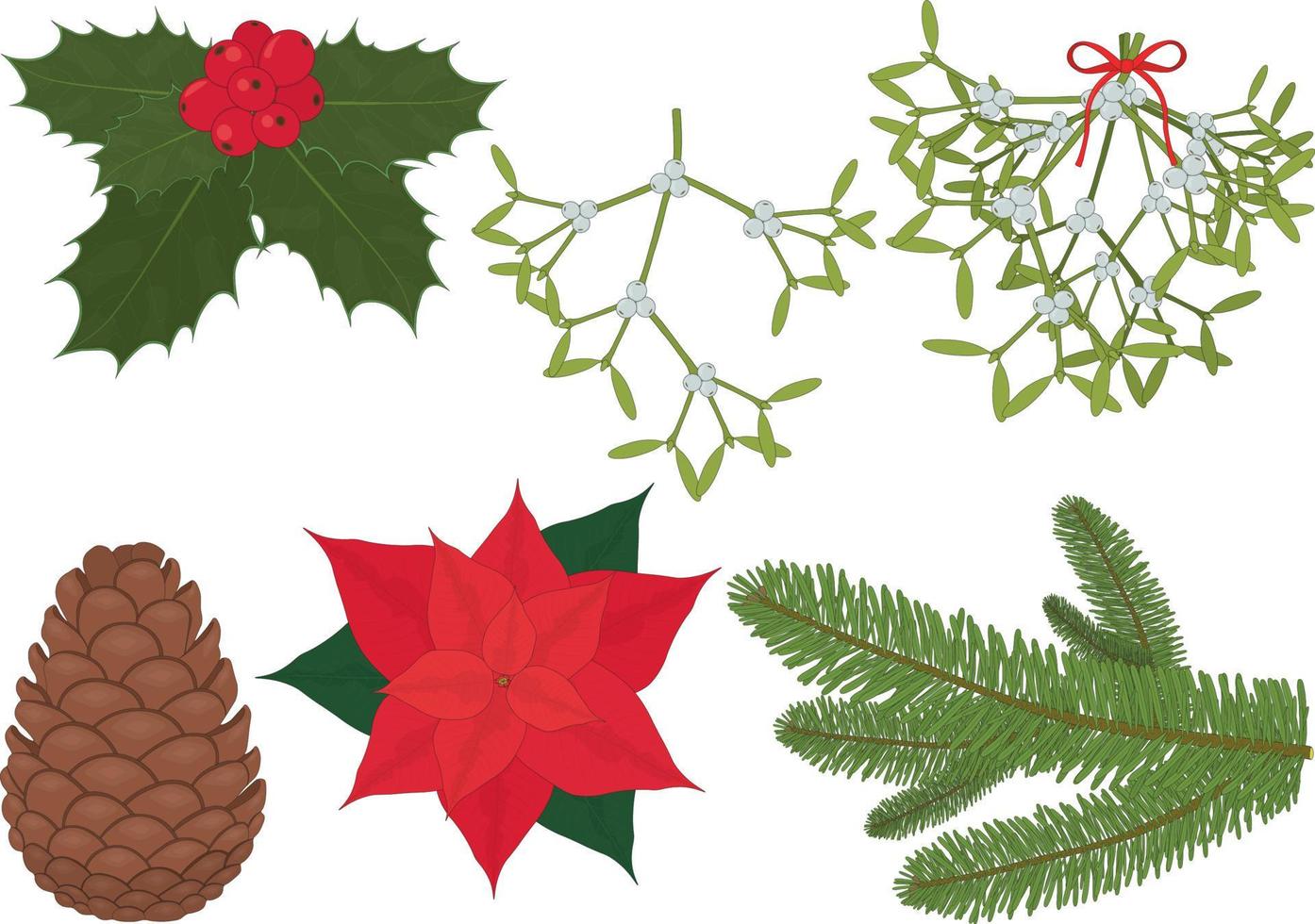plantes traditionnelles de noël et du nouvel an pour la décoration d'intérieur illustration vectorielle vecteur