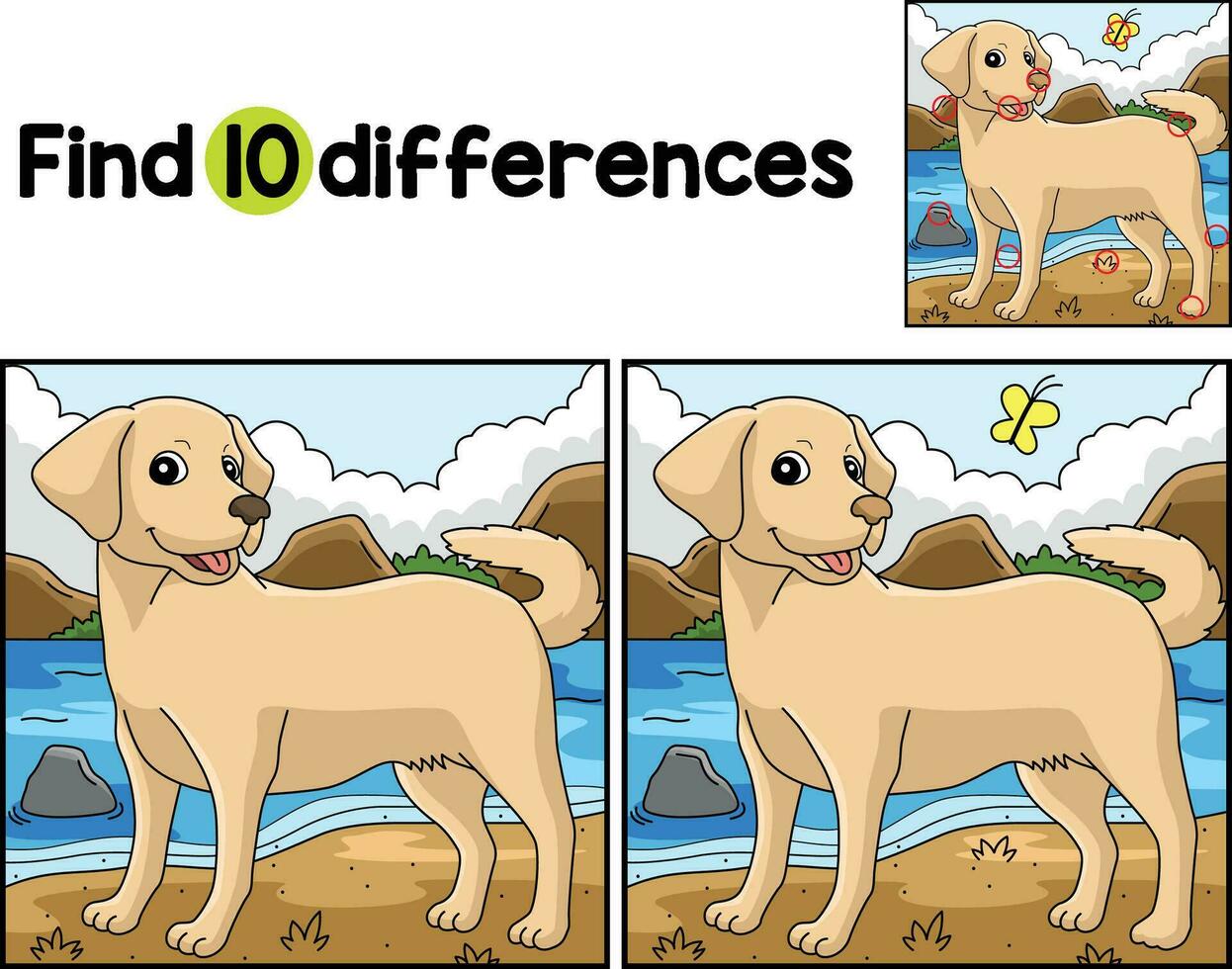 Labrador retriever chien trouver le différences vecteur