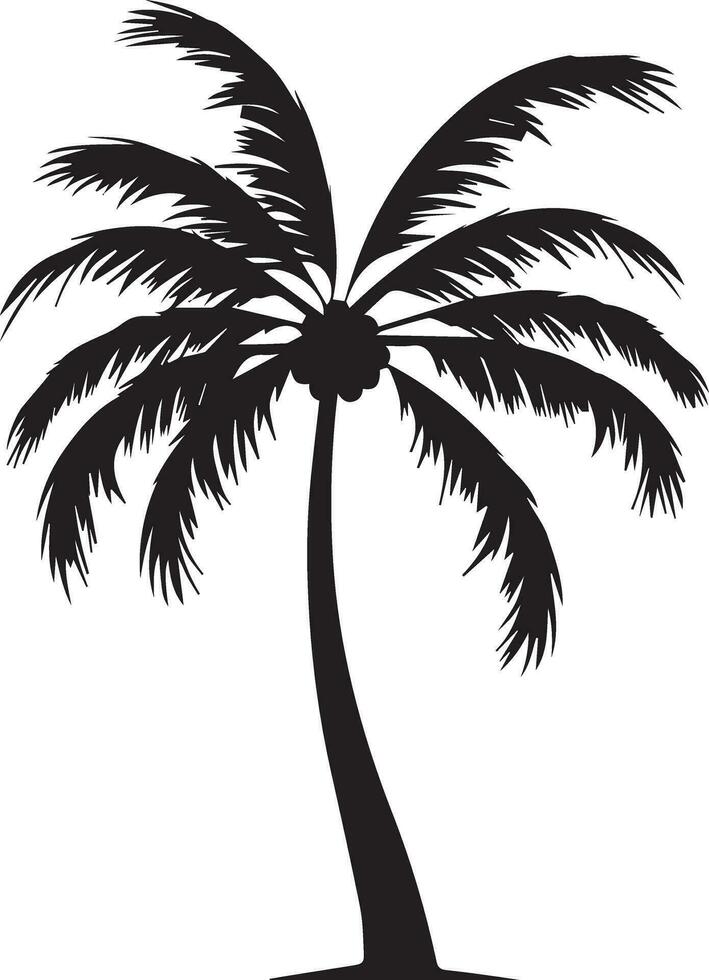 noix de coco arbre vecteur silhouette illustration 11