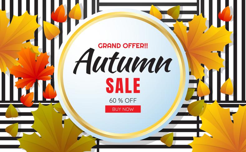 bannière de modèle de vente automne Vector background