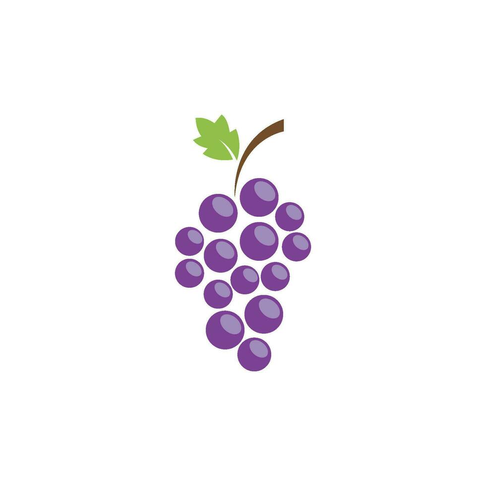 les raisins logo icône vecteur