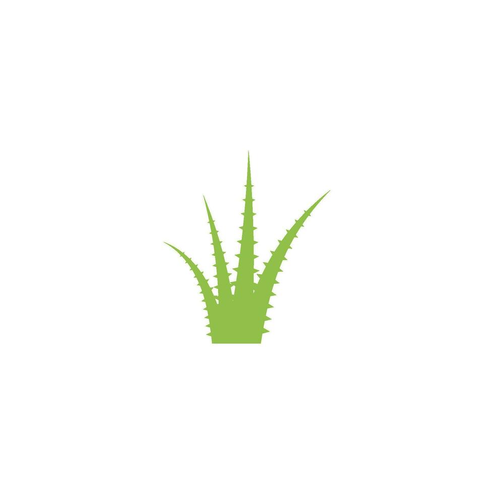 logo d'aloe vera vecteur