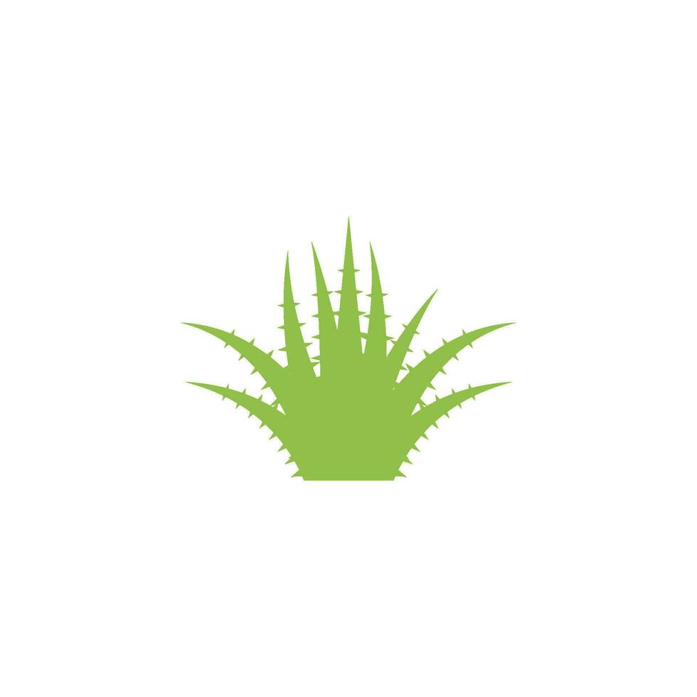 logo d'aloe vera vecteur