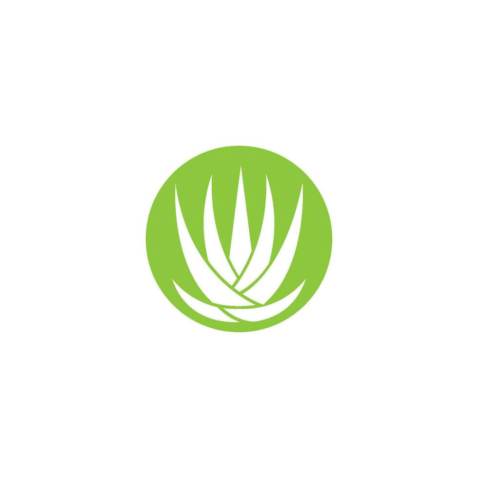 logo d'aloe vera vecteur