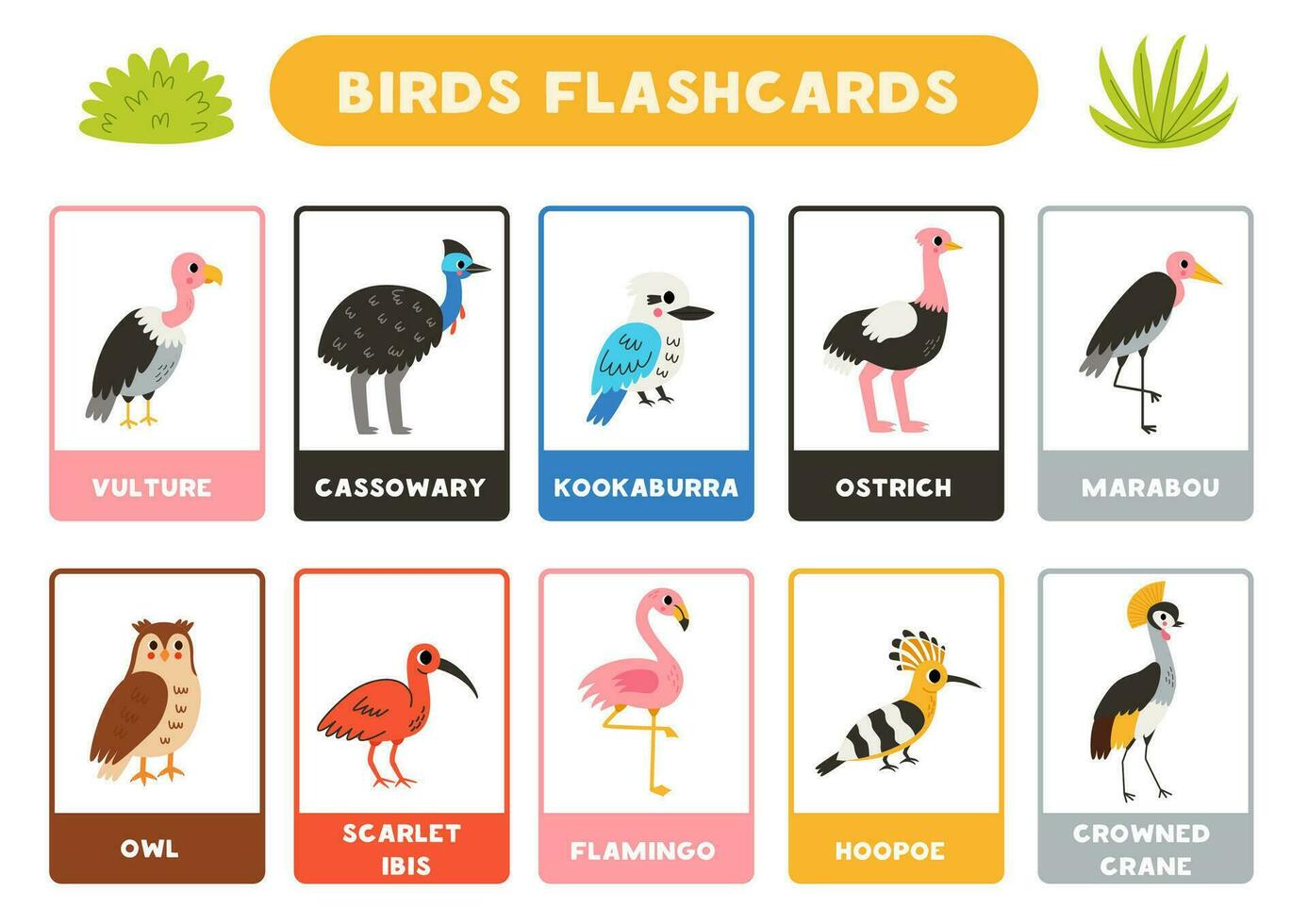 mignonne des oiseaux avec des noms. flashcards pour apprentissage Anglais. vecteur