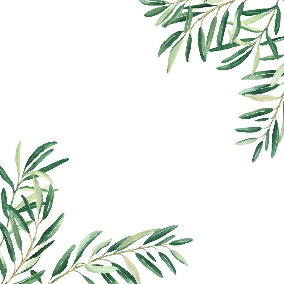 olive arbre carré cadre, frontière. olive branches coins. main tiré aquarelle botanique illustration. pouvez être utilisé pour cartes, logos et nourriture conception. vecteur