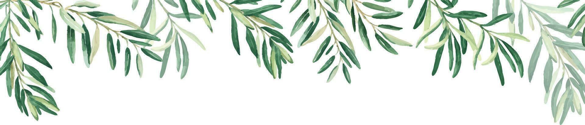 horizontal cadre, frontière avec olive branches. aquarelle main tiré illustration. parfait comme une la toile bannière, carte et invitation modèle, pour menu conception. vecteur