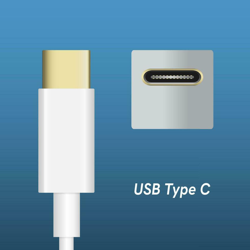 USB type c super la vitesse câble bouchons et prise isolé sur bleu Contexte. eps10 vecteur. vecteur