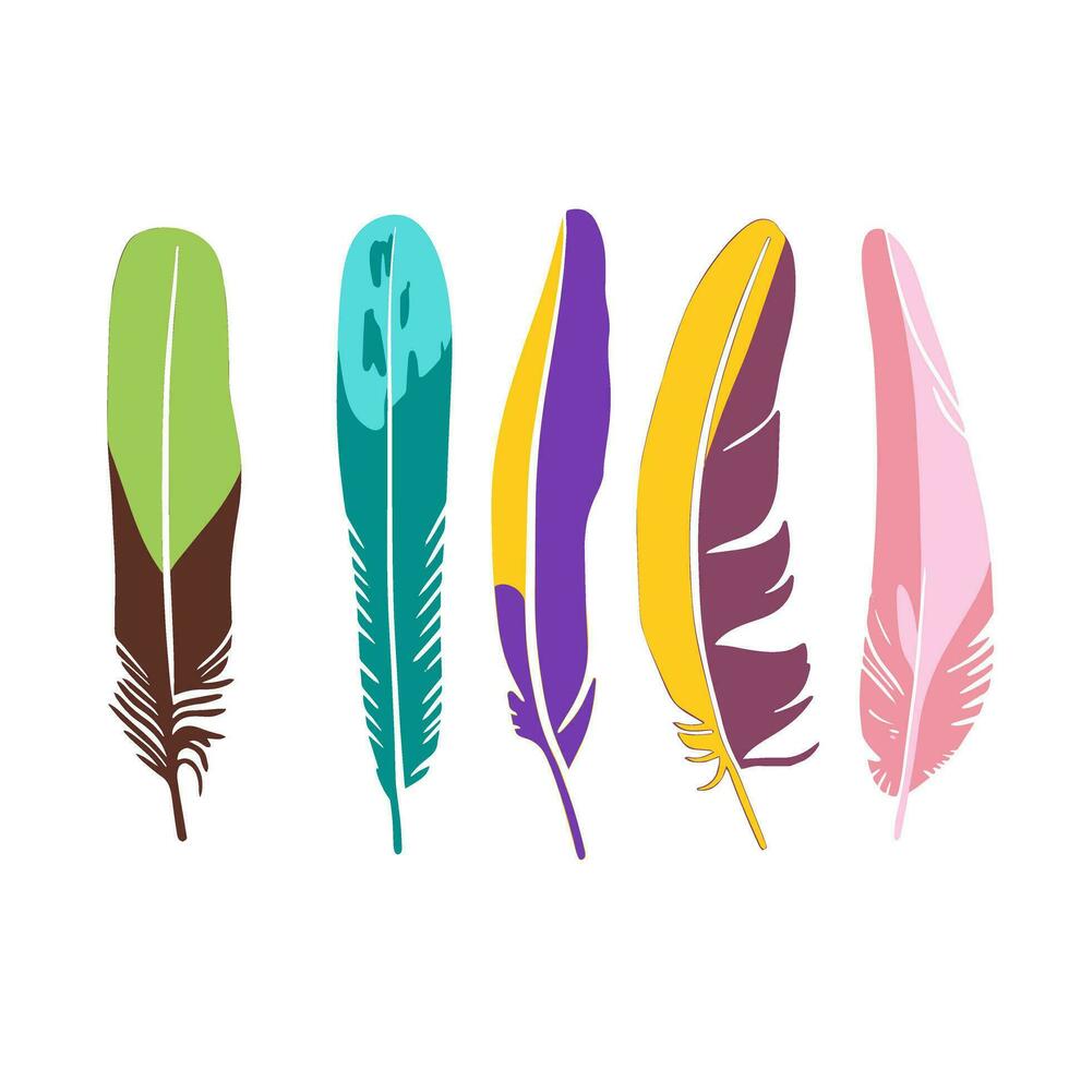 ensemble de multicolore plumes. dessiné à la main vecteur images