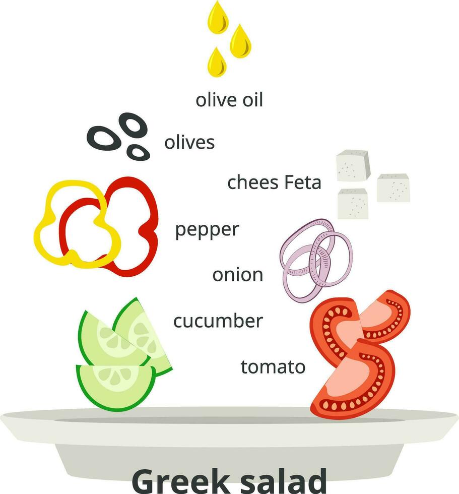 infographie de le recette pour grec salade. ingrédients, des légumes pour salade. plat style. vecteur illustration