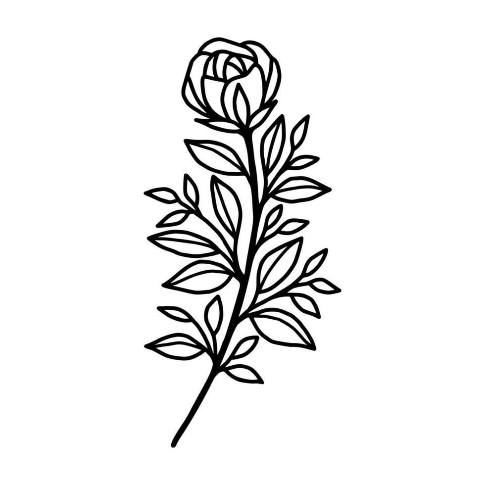 ancien main tiré Rose floral et feuille branche vecteur ligne art illustration