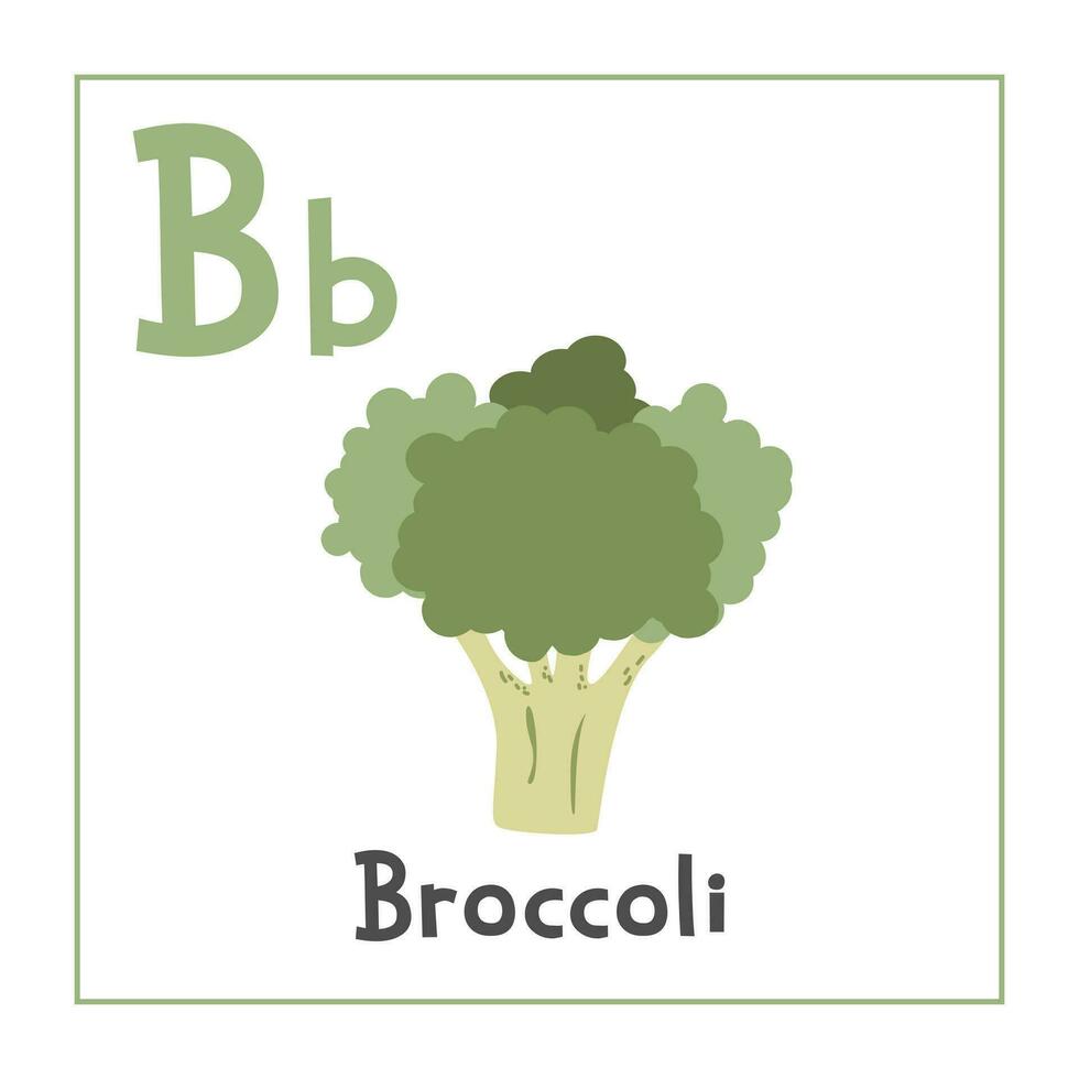 brocoli clipart. brocoli vecteur illustration dessin animé plat style. des légumes début avec lettre b. légume alphabet carte. apprentissage lettre b carte. des gamins éducation. mignonne brocoli vecteur conception