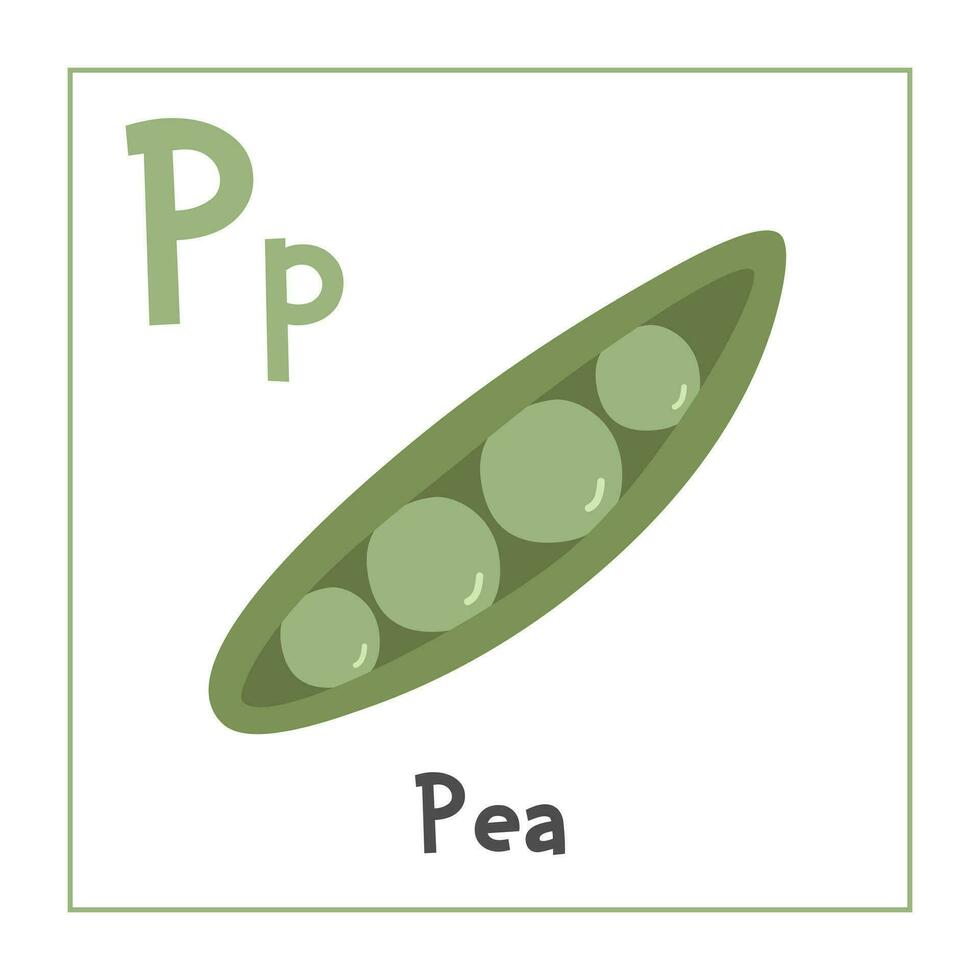 vert pois clipart. pois vecteur illustration dessin animé plat style. des légumes début avec lettre p. légume alphabet carte. apprentissage lettre p carte. des gamins éducation. mignonne vert pois vecteur conception