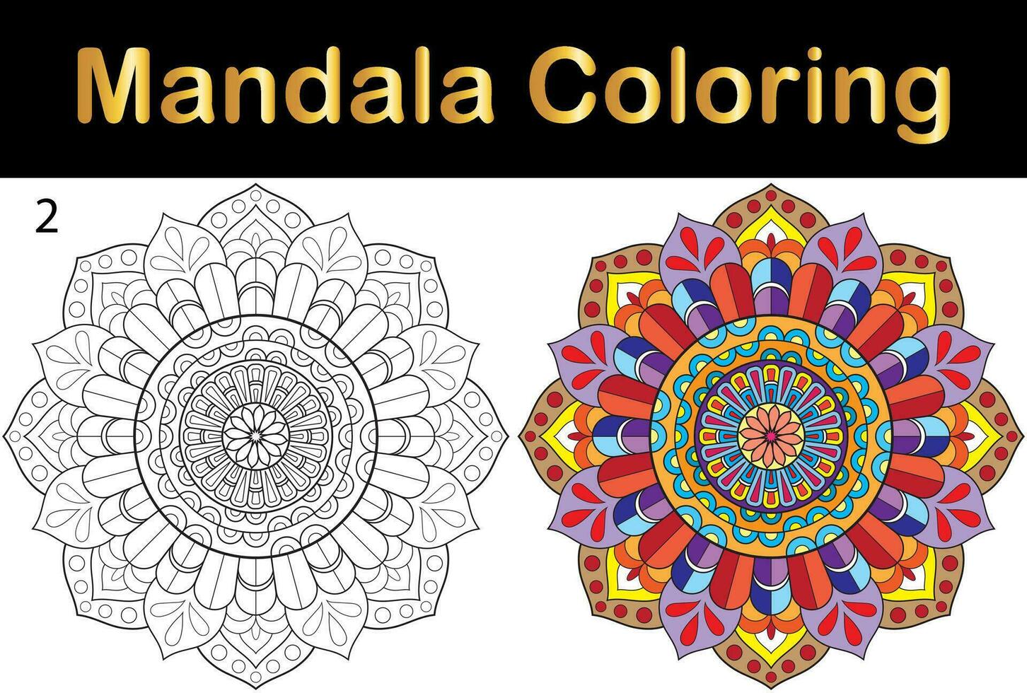 mandala fleur pour adulte coloration page vecteur