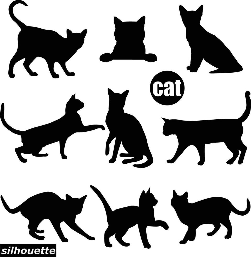 chat vecteur silhouette , animal, silhouette, noir, vecteur, graphique, isolé, chaton, illustration, conception,