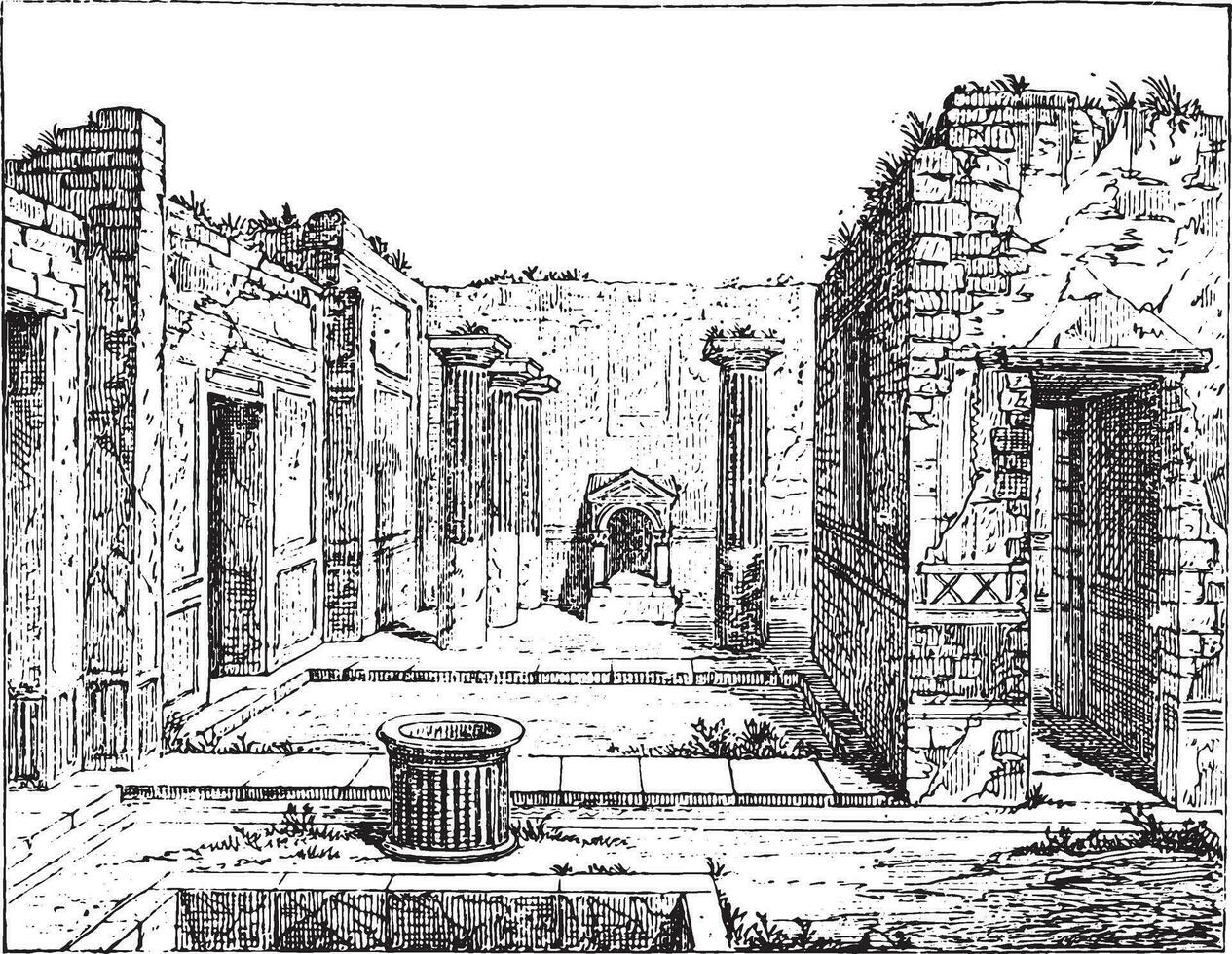 poète loger, dans Pompéi, ancien gravure. vecteur