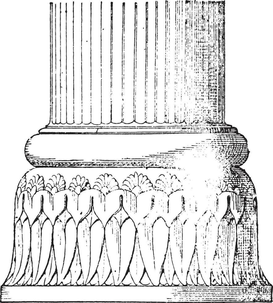 base, ancien gravure. vecteur