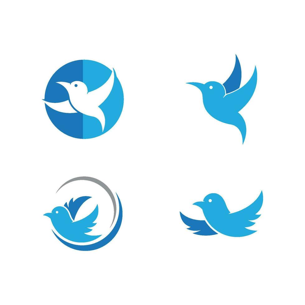 oiseau logo modèle vecteur illustration