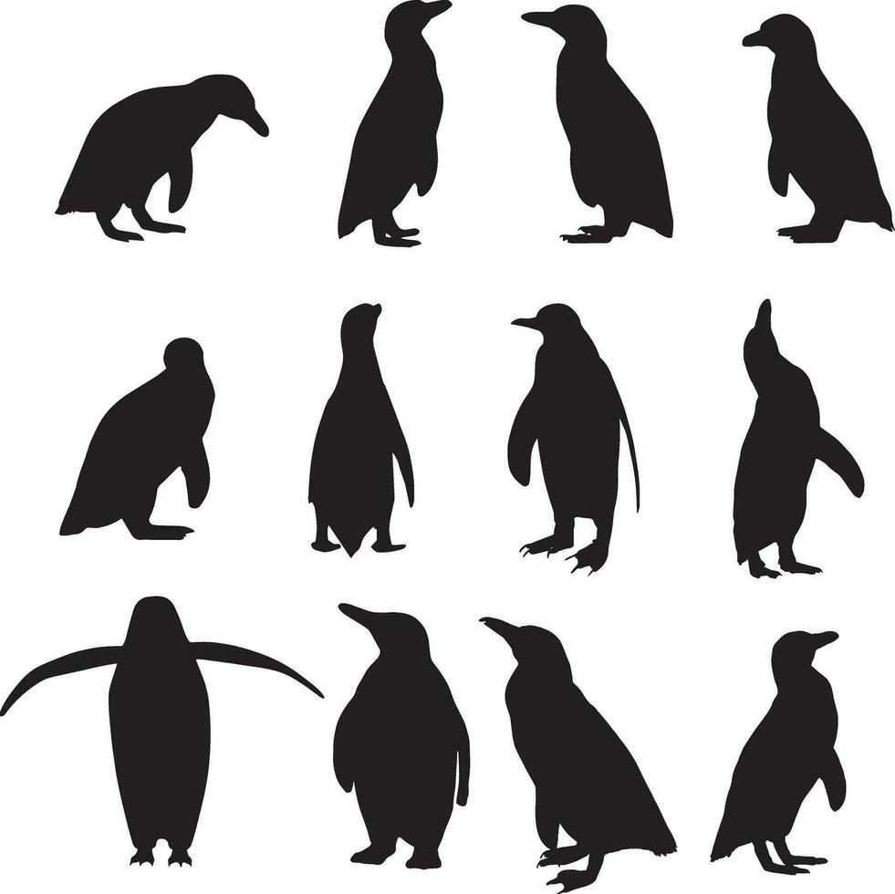 une groupe de pingouins silhouette vecteur ensemble.