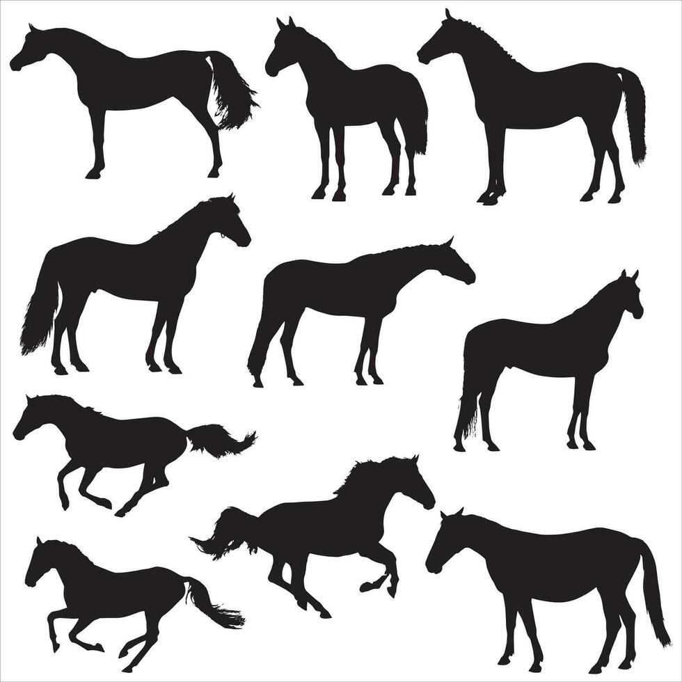 les chevaux silhouette ensemble vecteur illustration, collection de cheval silhouette