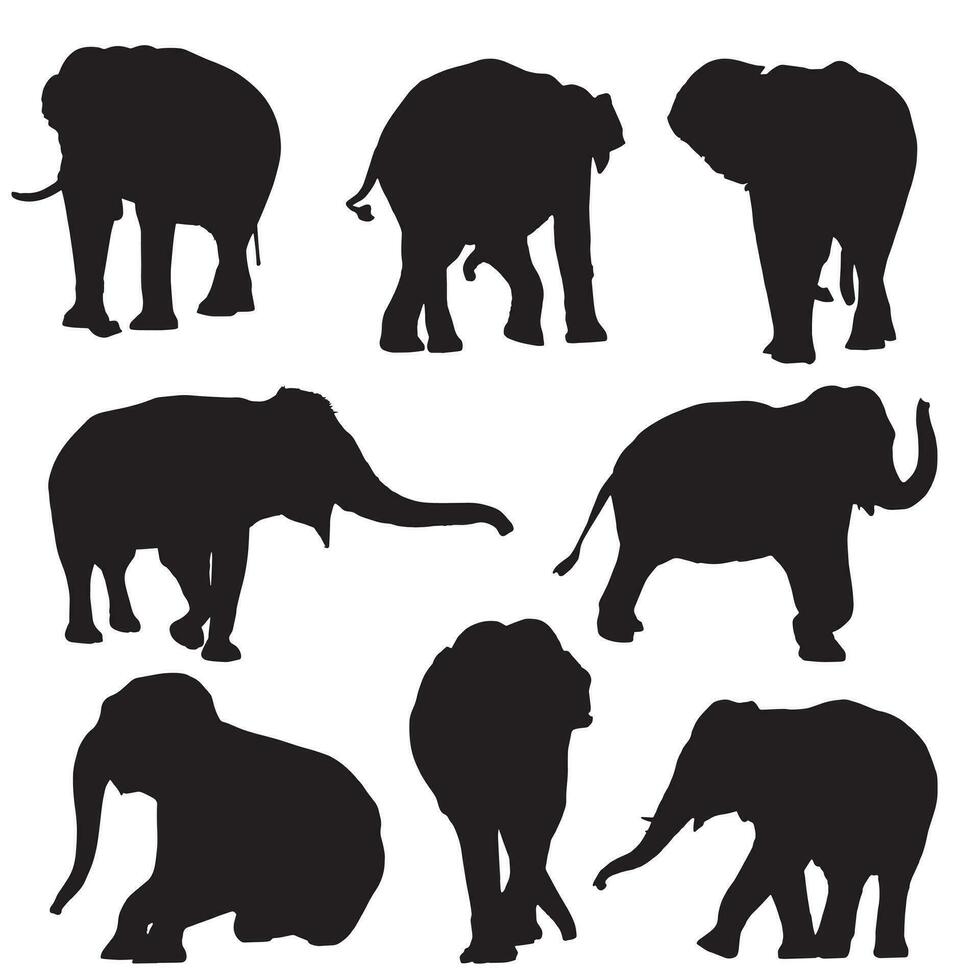 ensemble de silhouettes vectorielles modifiables d'éléphants d'afrique dans diverses poses vecteur