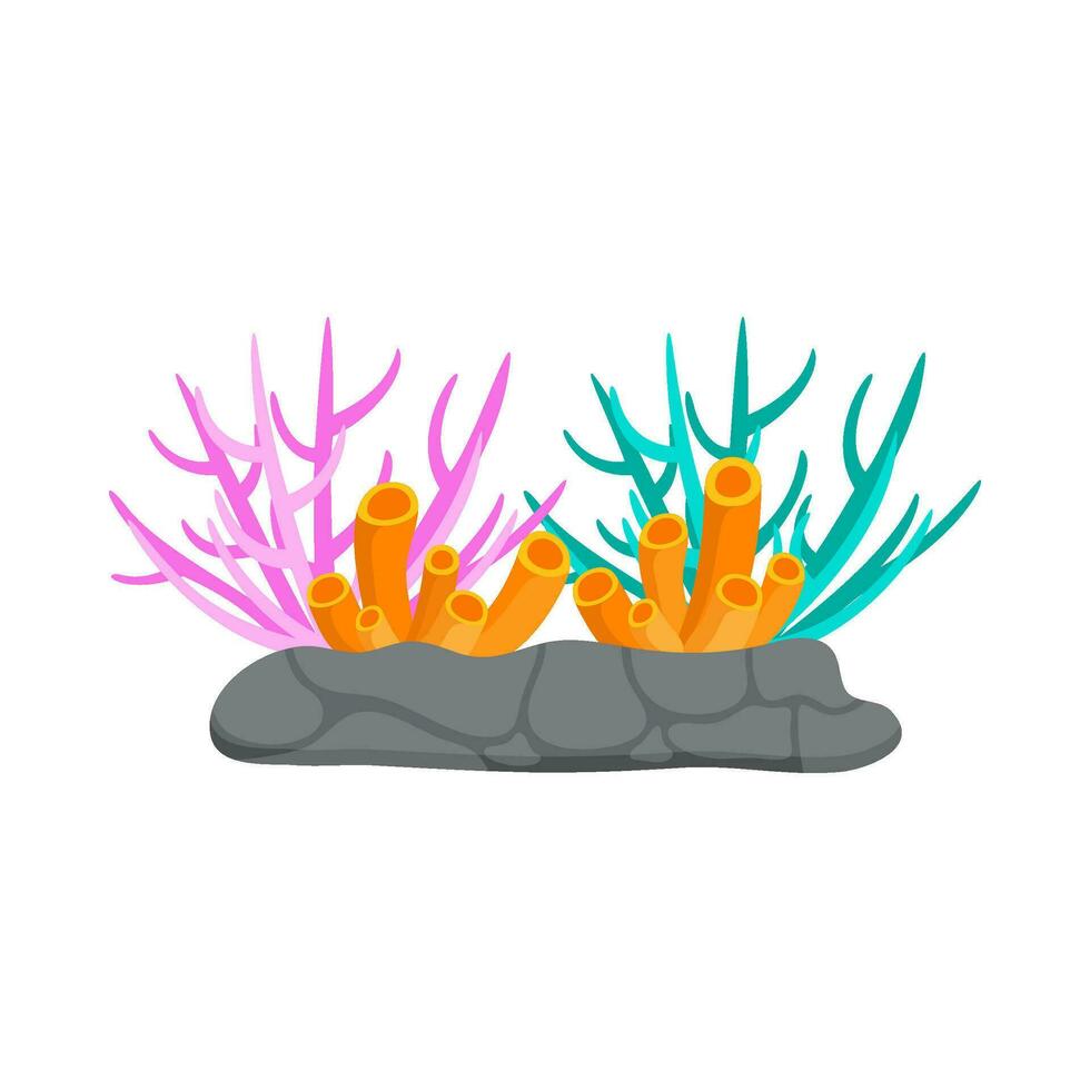 plat illustration de mer corail récif vecteur