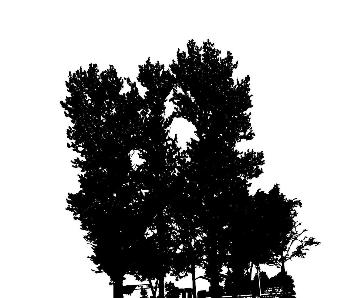 silhouette d'arbre isolé sur fond blanc. illustration vectorielle vecteur