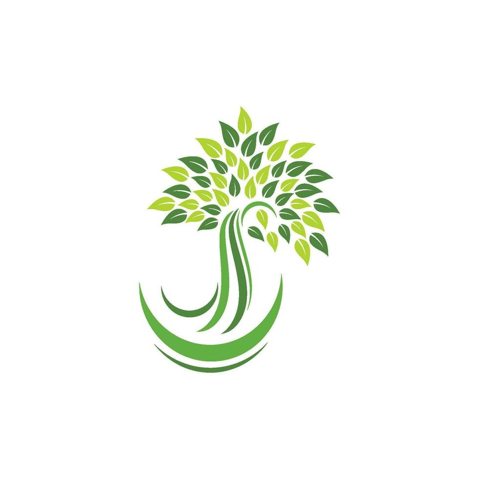 logos de l'écologie des feuilles d'arbre vert vecteur