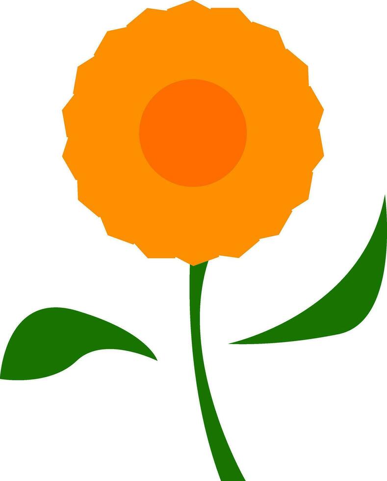 une magnifique Orange fleur vecteur ou Couleur illustration