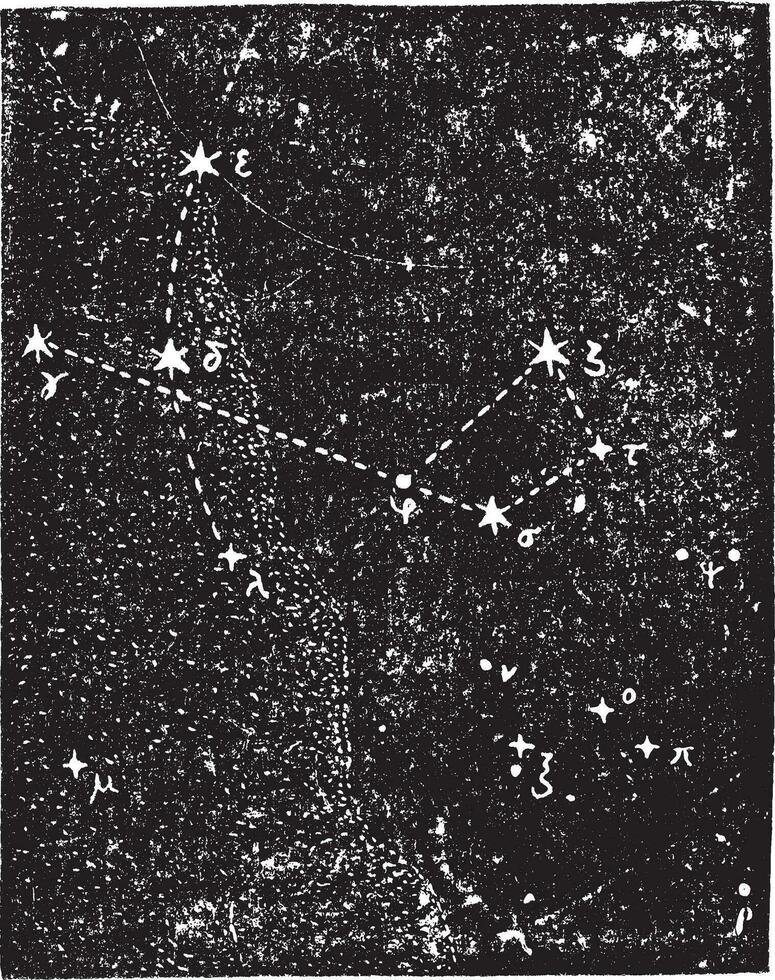 Sagittaire constellation, ancien gravure. vecteur