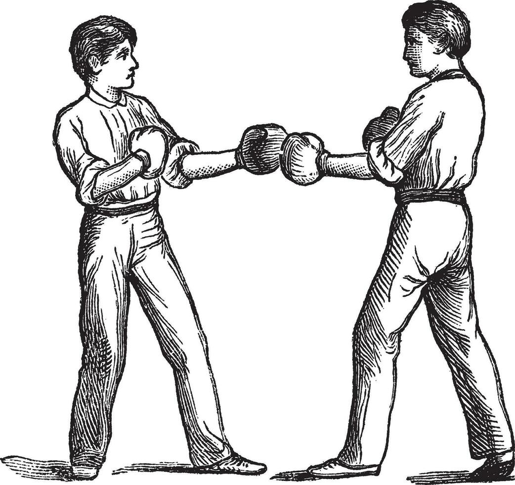 deux boxeurs dans une combat position ancien gravure vecteur