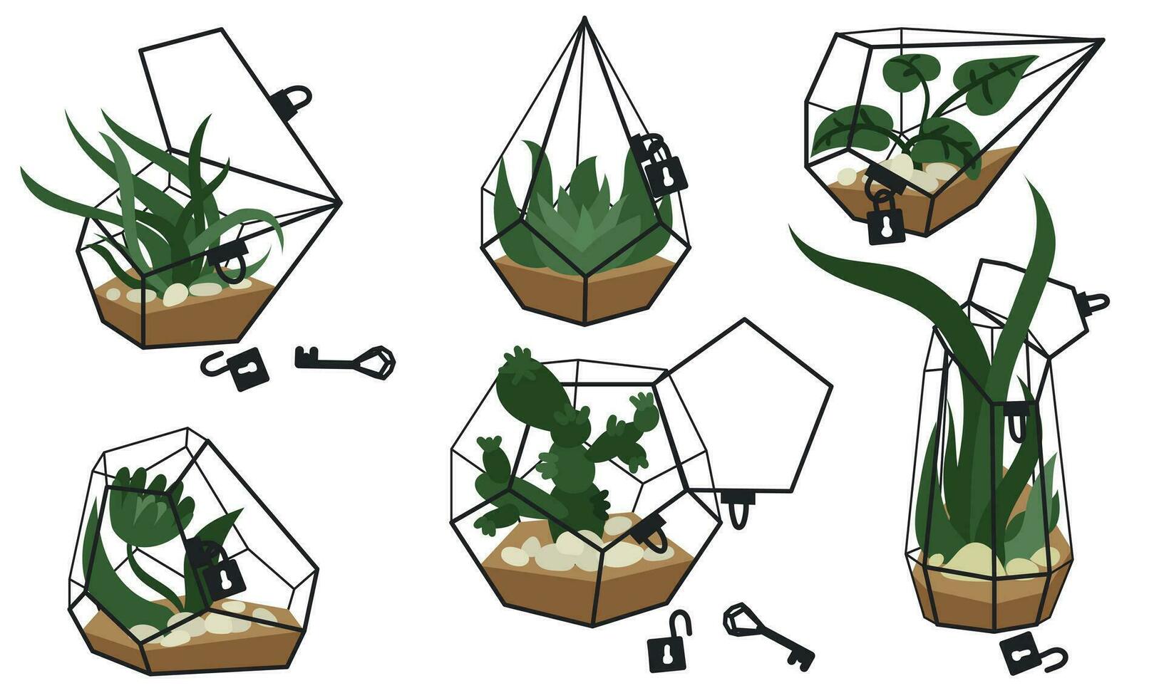 ensemble de magnifique fermé et ouvert florariums avec clés sur une blanc Contexte. vecteur illustration de une verre florarium de divers géométrique formes avec plantes succulentes et cactus, aloès vera, des pierres, isolé