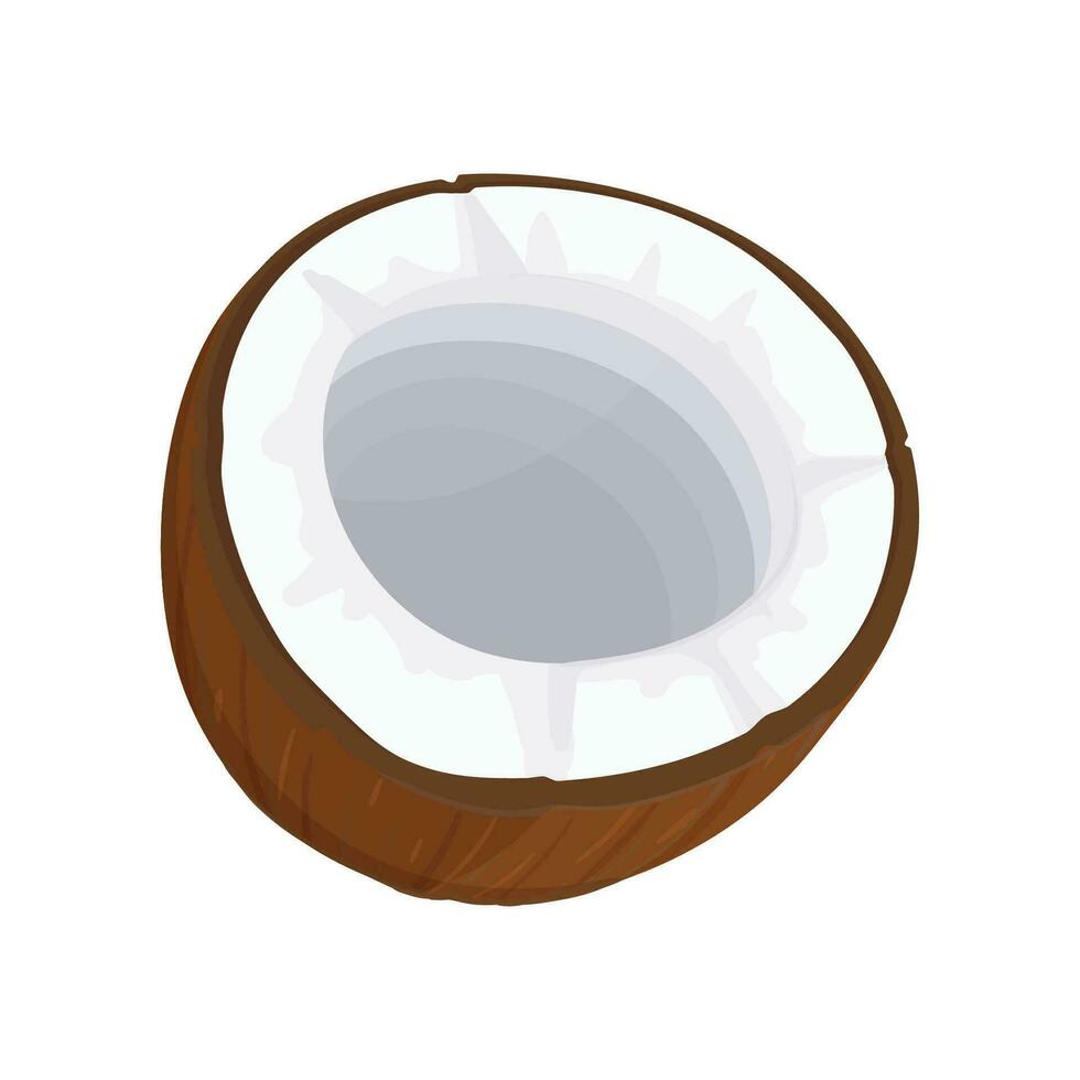 Divisé le noix de coco dans moitié. dessin animé noix de coco icône. noix de coco lait. vecteur
