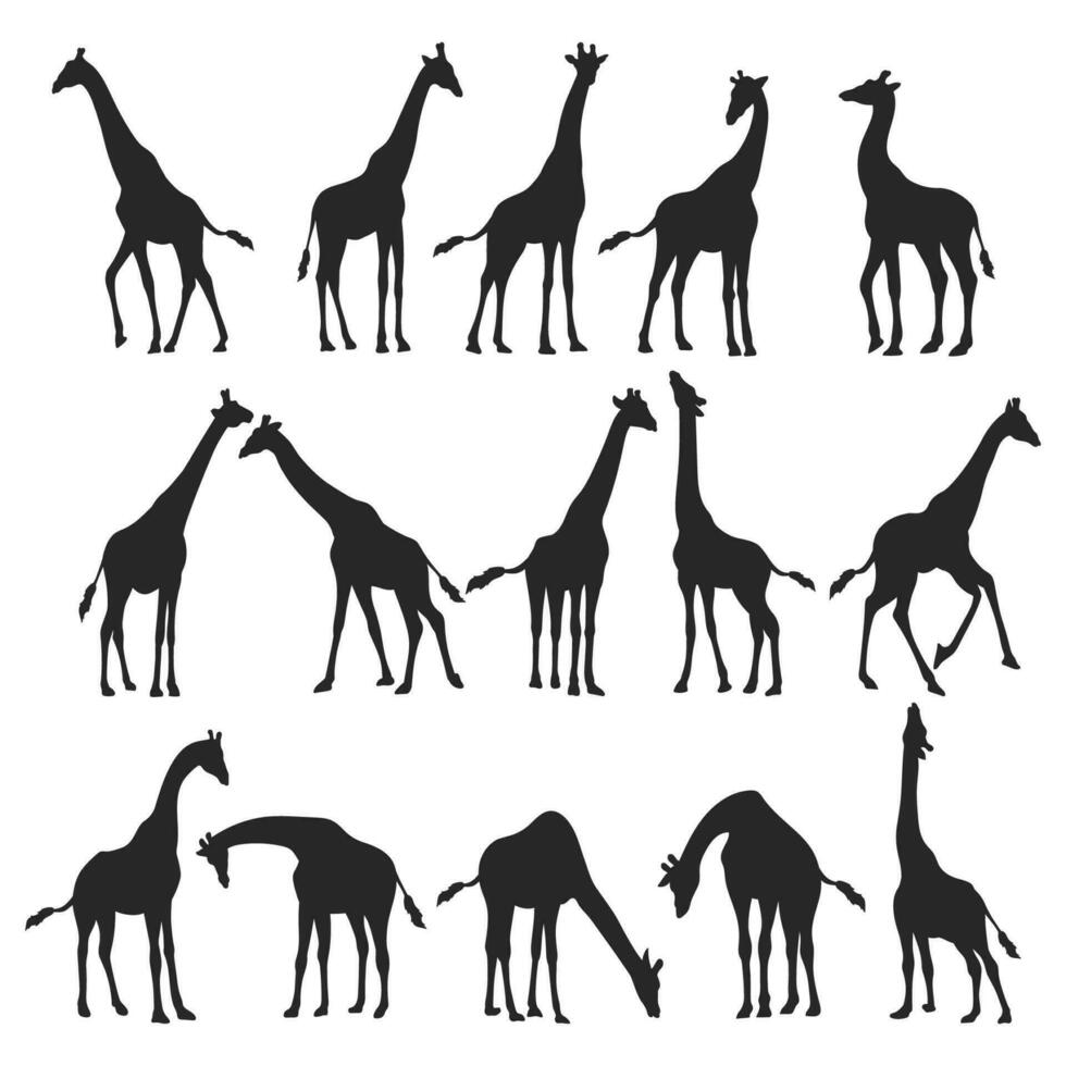 girafe silhouette, illustration de le girafe animal vecteur