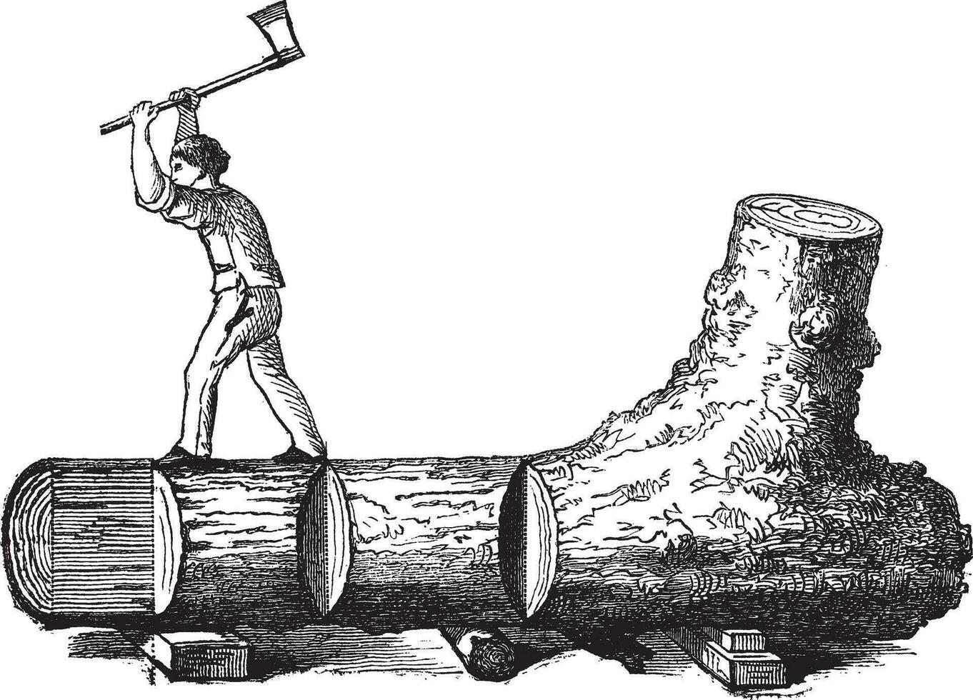 Comment une arbre est fabriqué dans bois, ancien gravure vecteur