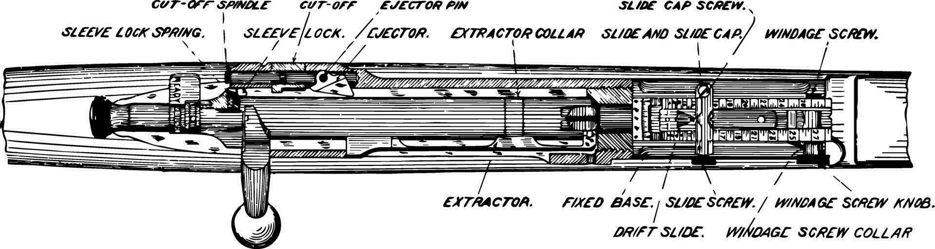 diagramme de une fusil, ancien illustration. vecteur