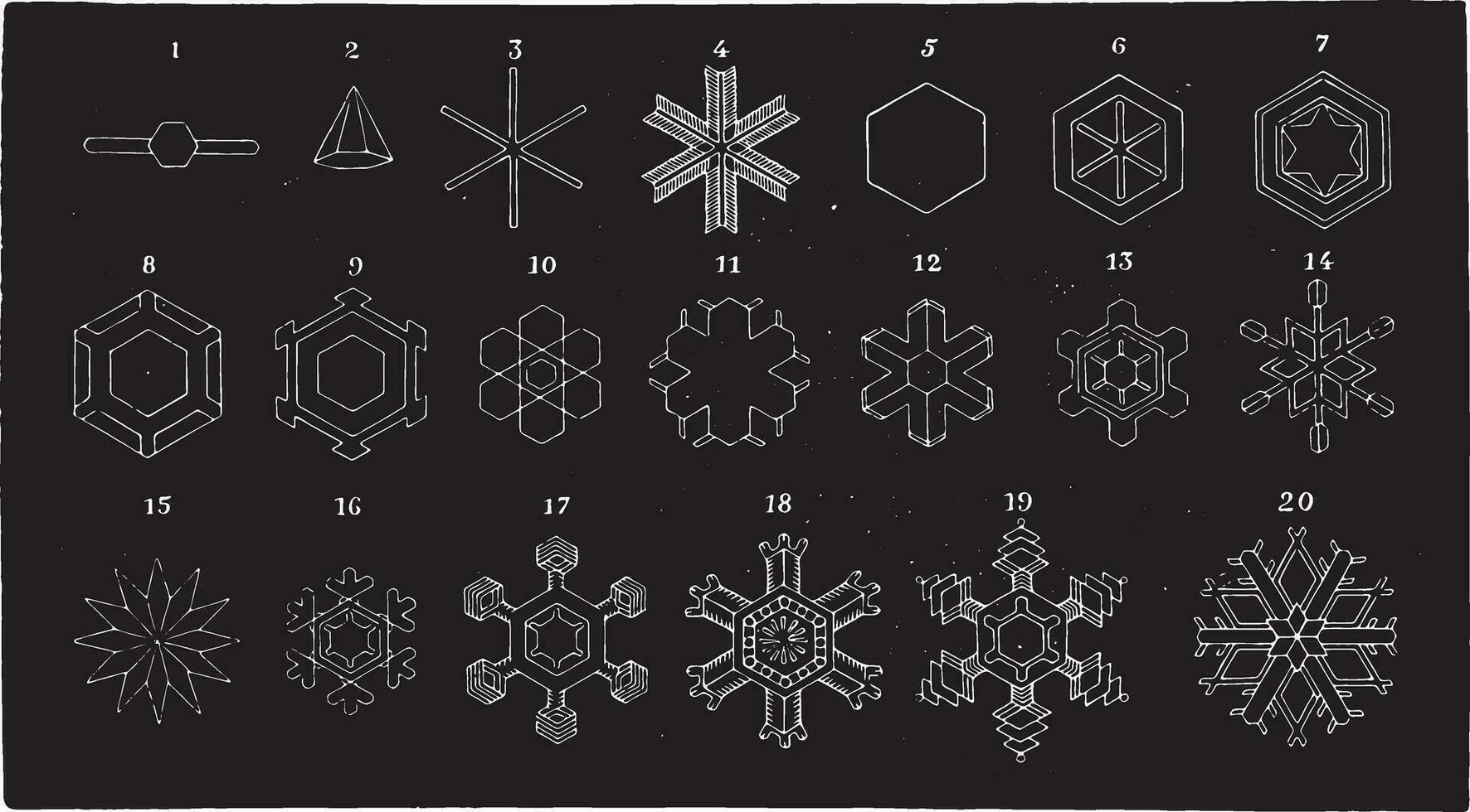 cristalline formes de le neige, vu en dessous de le microscope, ancien gravure. vecteur