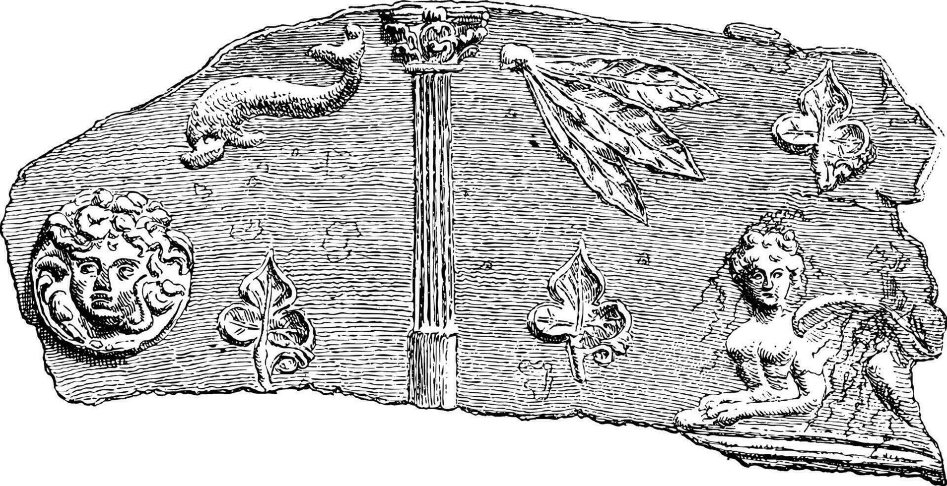 fragment de une sarcophage a trouvé à le nécropole de Hanaoueh ne vecteur