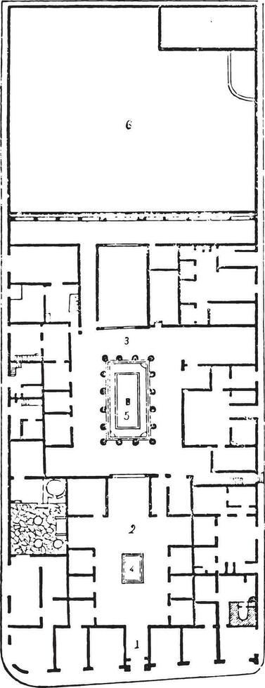 plan de le maison de panse, ancien gravure. vecteur