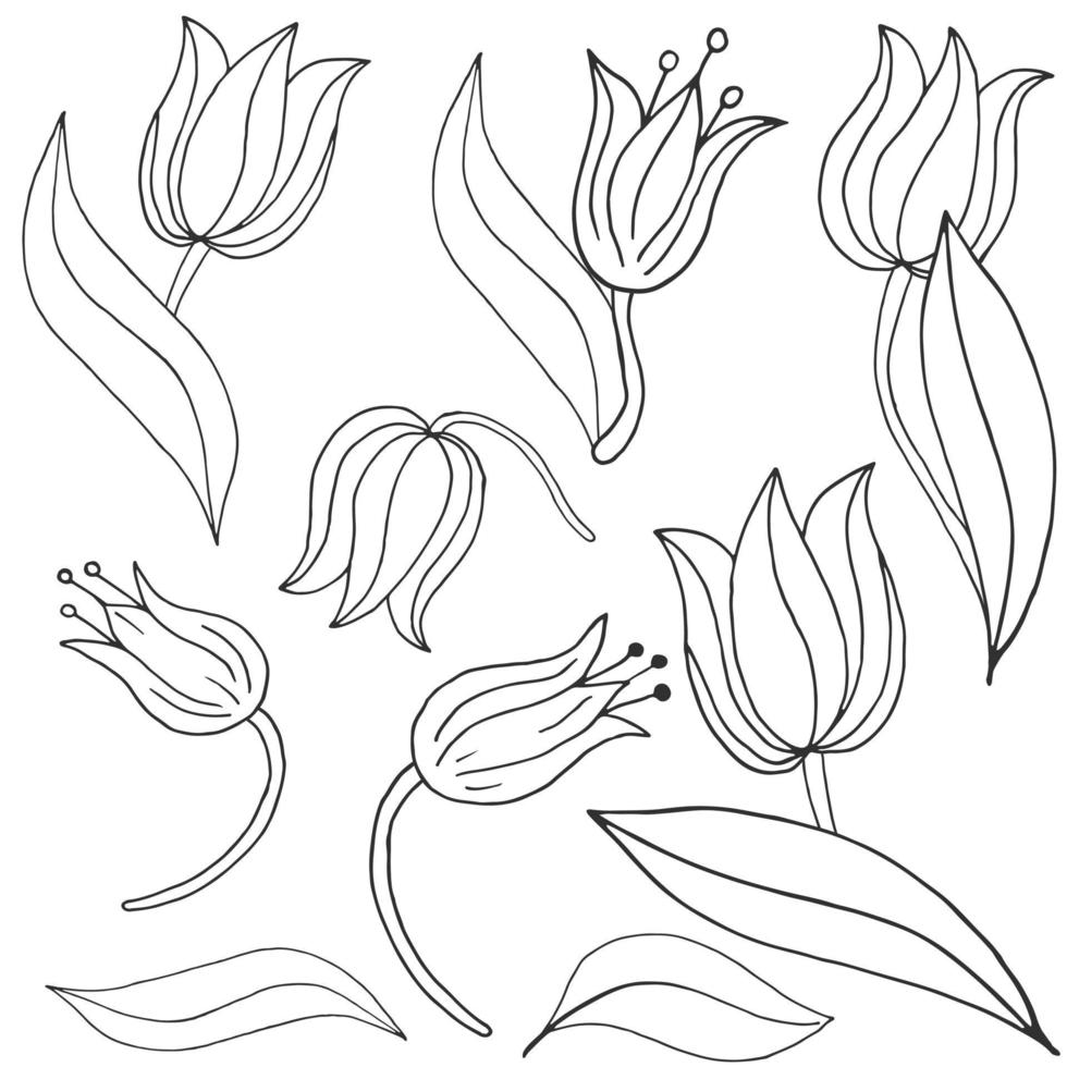 illustration florale dans le style de dessin à la main vecteur